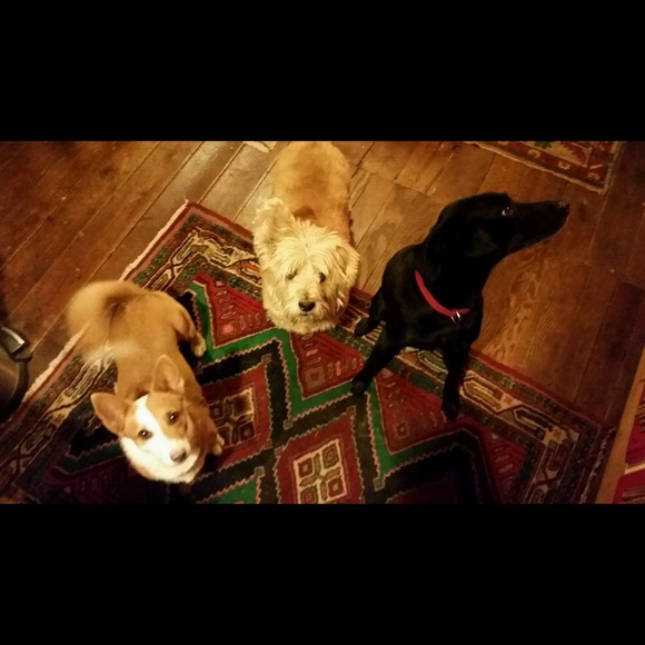 Meet your Posher, Monique - Picture 1 of 2